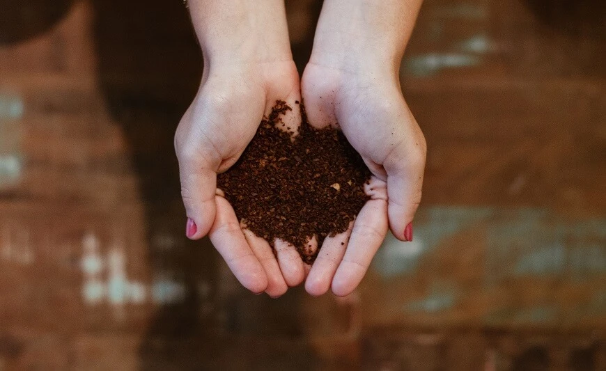 Vermicomposting: My Worm Bin Project